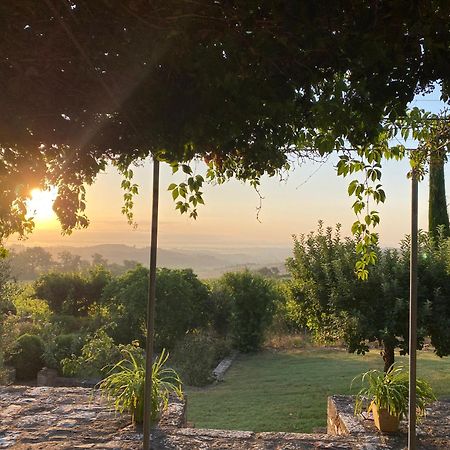 Abbadia Wine Relais Bed & Breakfast Montefollonico Luaran gambar