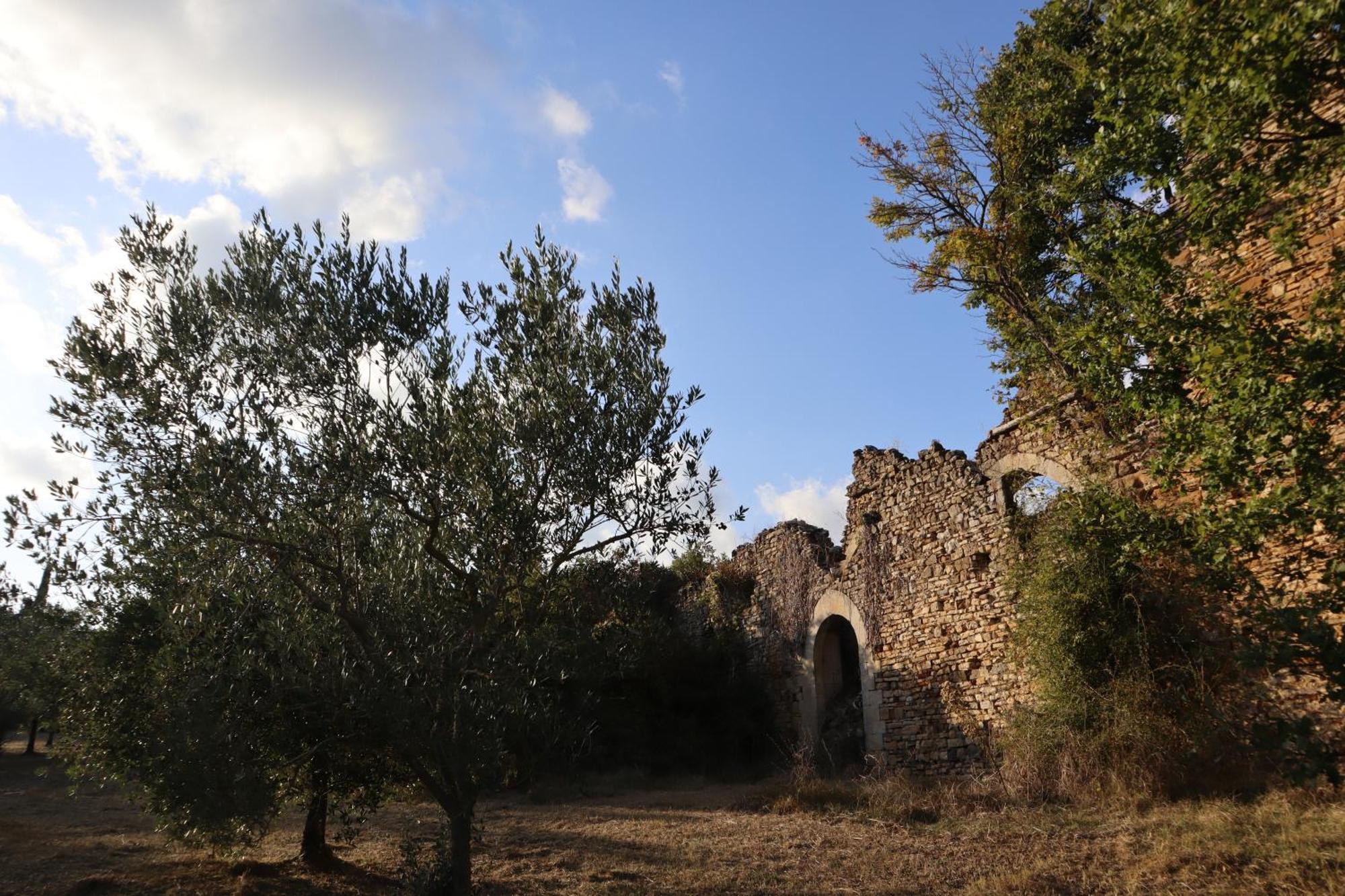 Abbadia Wine Relais Bed & Breakfast Montefollonico Luaran gambar