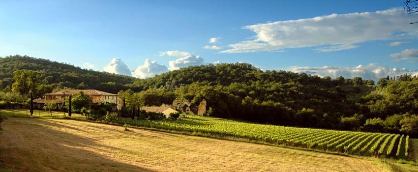Abbadia Wine Relais Bed & Breakfast Montefollonico Luaran gambar