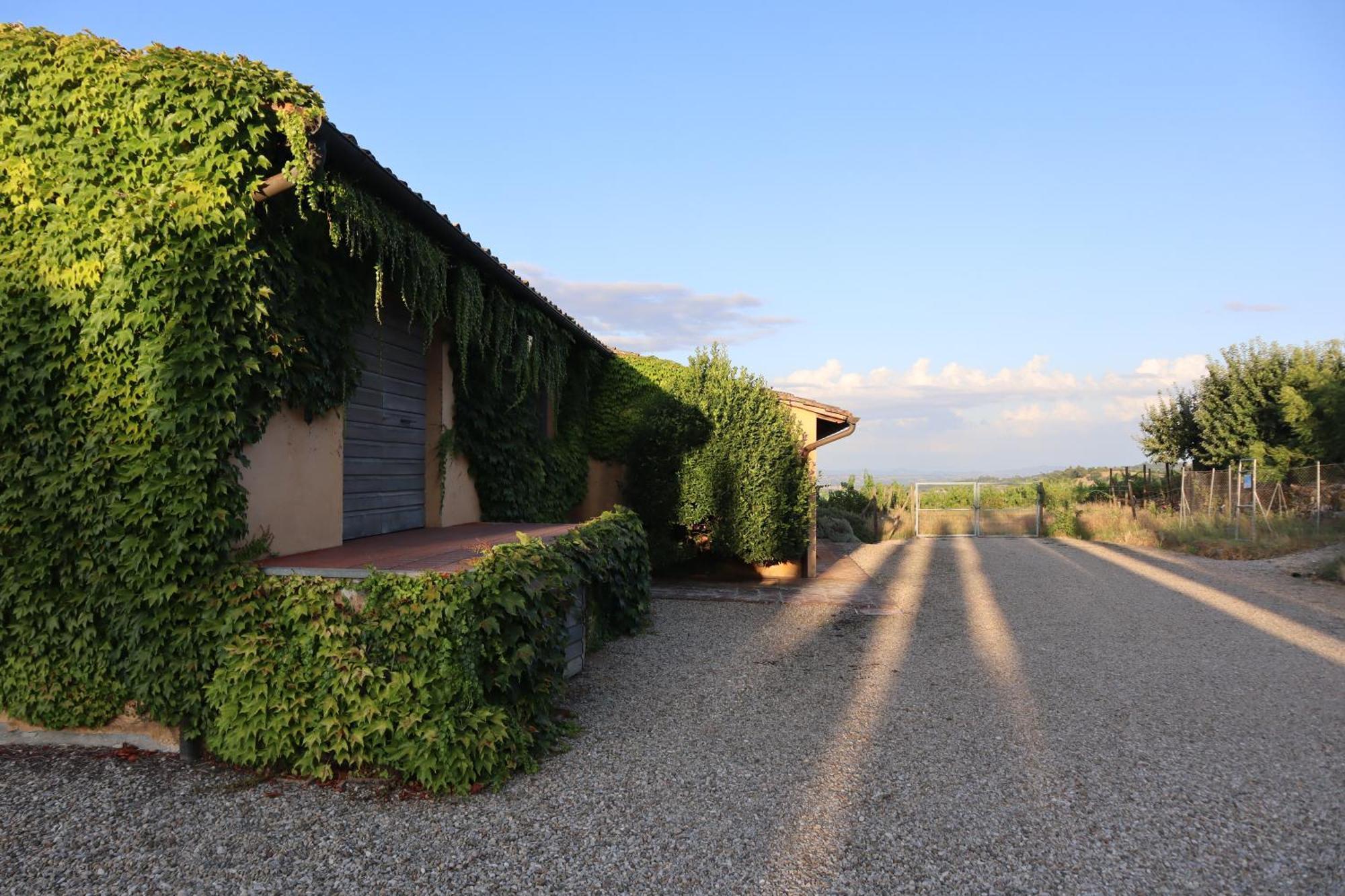 Abbadia Wine Relais Bed & Breakfast Montefollonico Luaran gambar