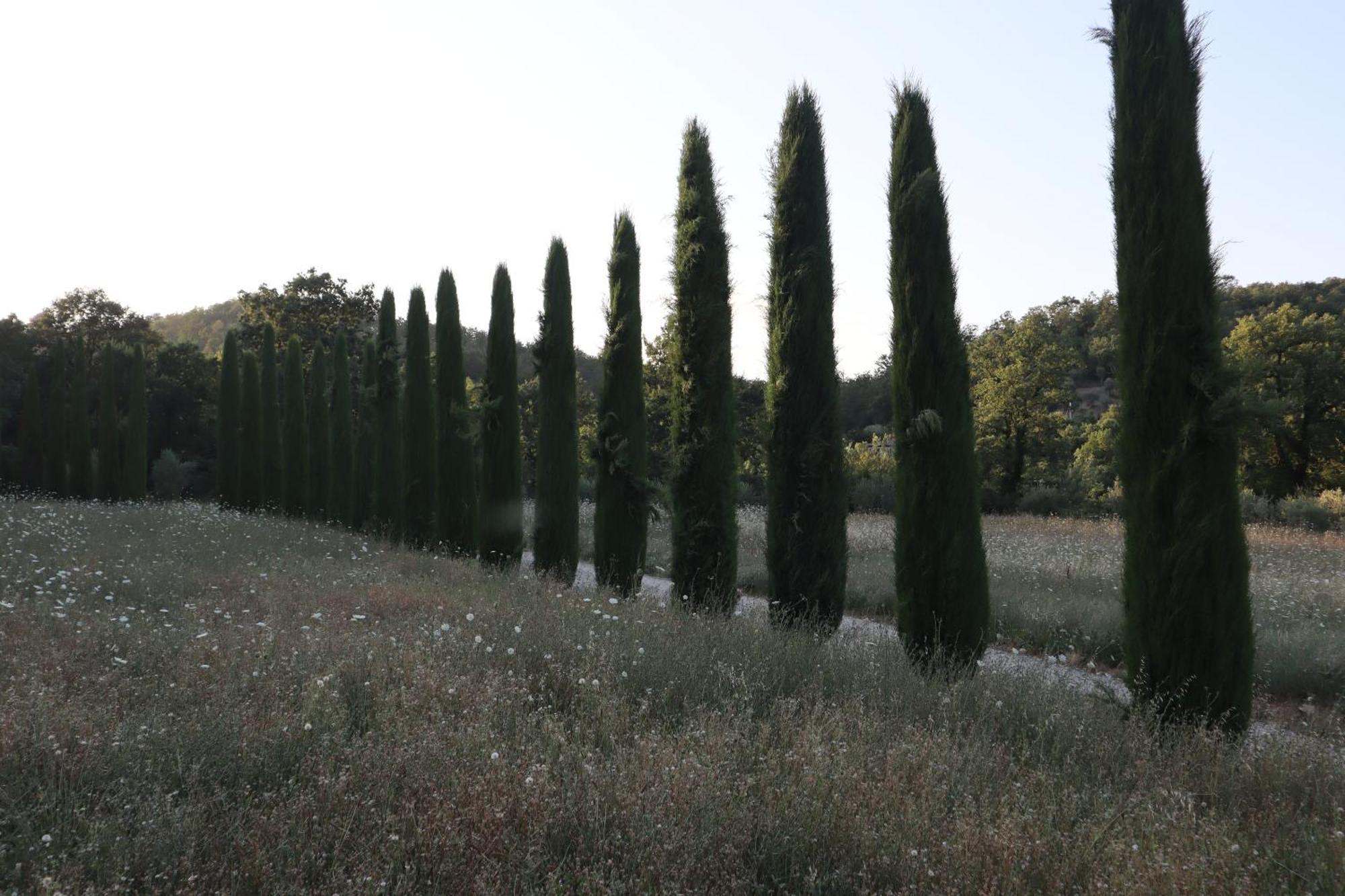 Abbadia Wine Relais Bed & Breakfast Montefollonico Luaran gambar