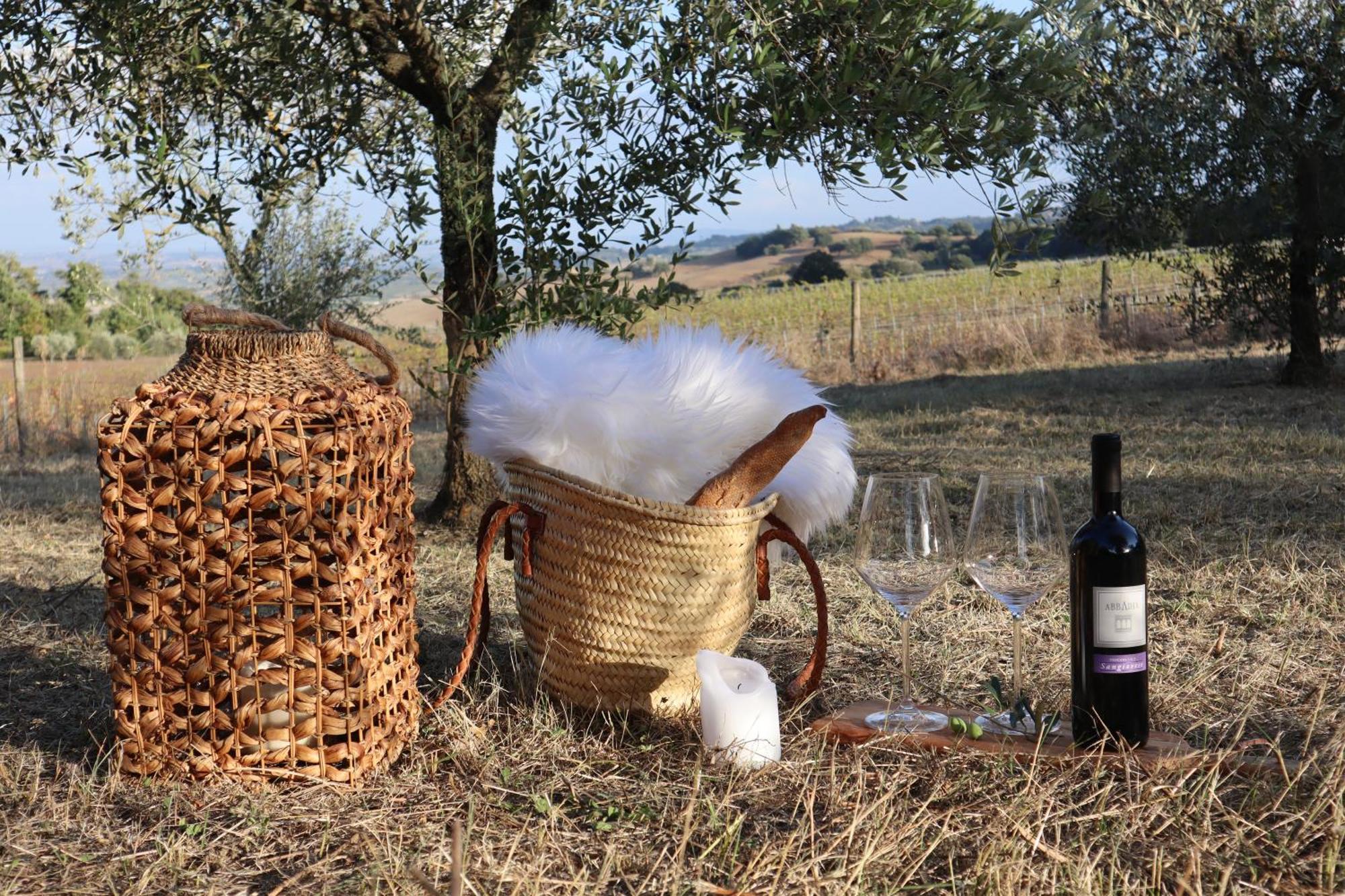Abbadia Wine Relais Bed & Breakfast Montefollonico Luaran gambar