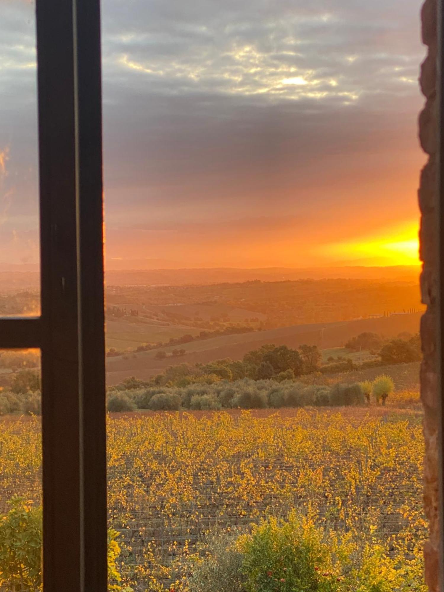 Abbadia Wine Relais Bed & Breakfast Montefollonico Luaran gambar