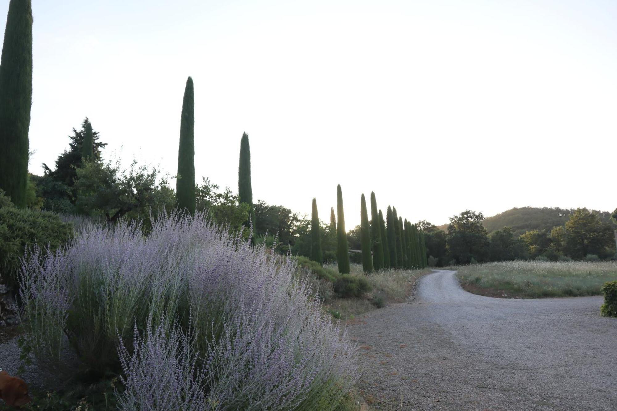 Abbadia Wine Relais Bed & Breakfast Montefollonico Luaran gambar
