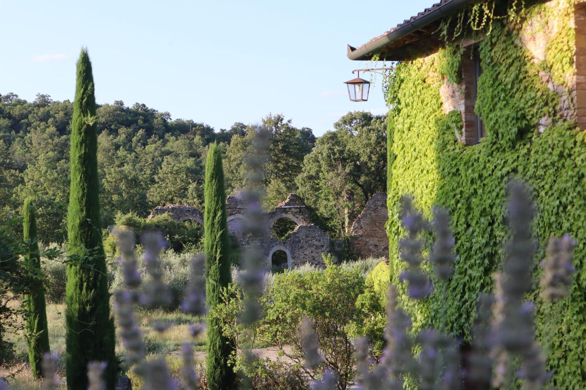 Abbadia Wine Relais Bed & Breakfast Montefollonico Luaran gambar