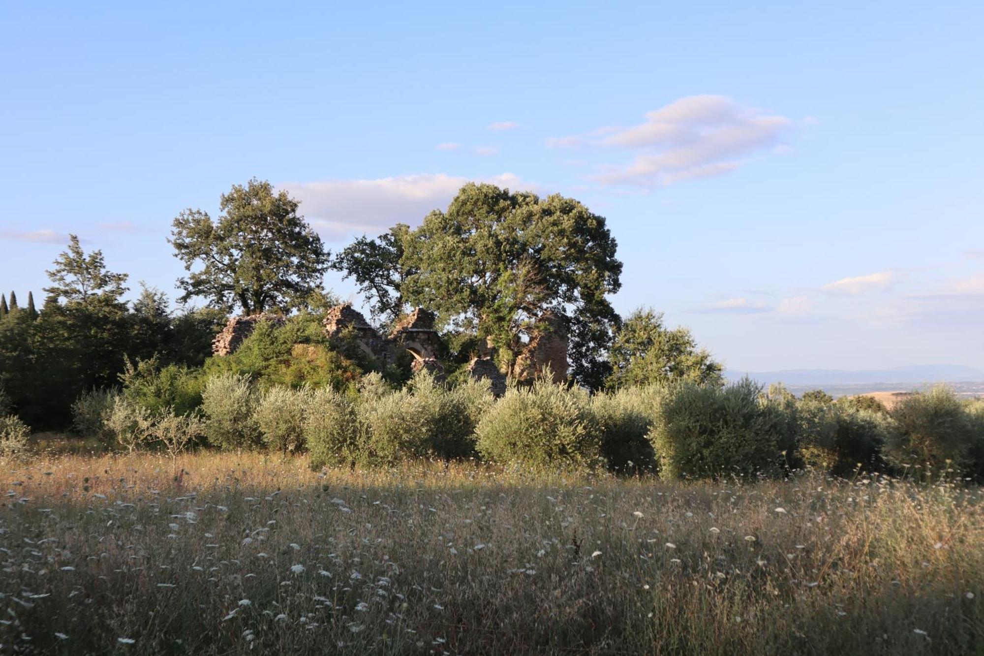 Abbadia Wine Relais Bed & Breakfast Montefollonico Luaran gambar