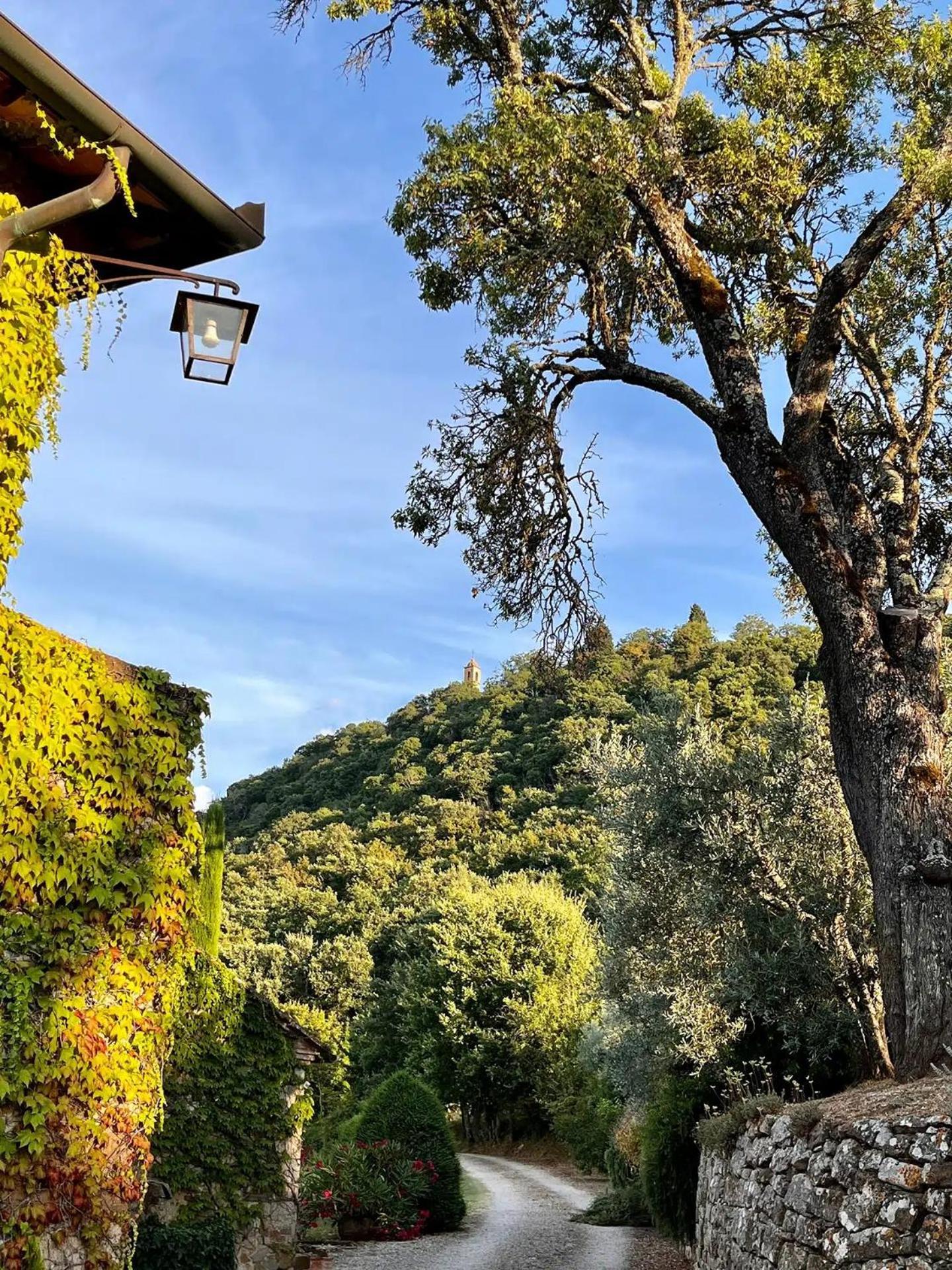 Abbadia Wine Relais Bed & Breakfast Montefollonico Luaran gambar